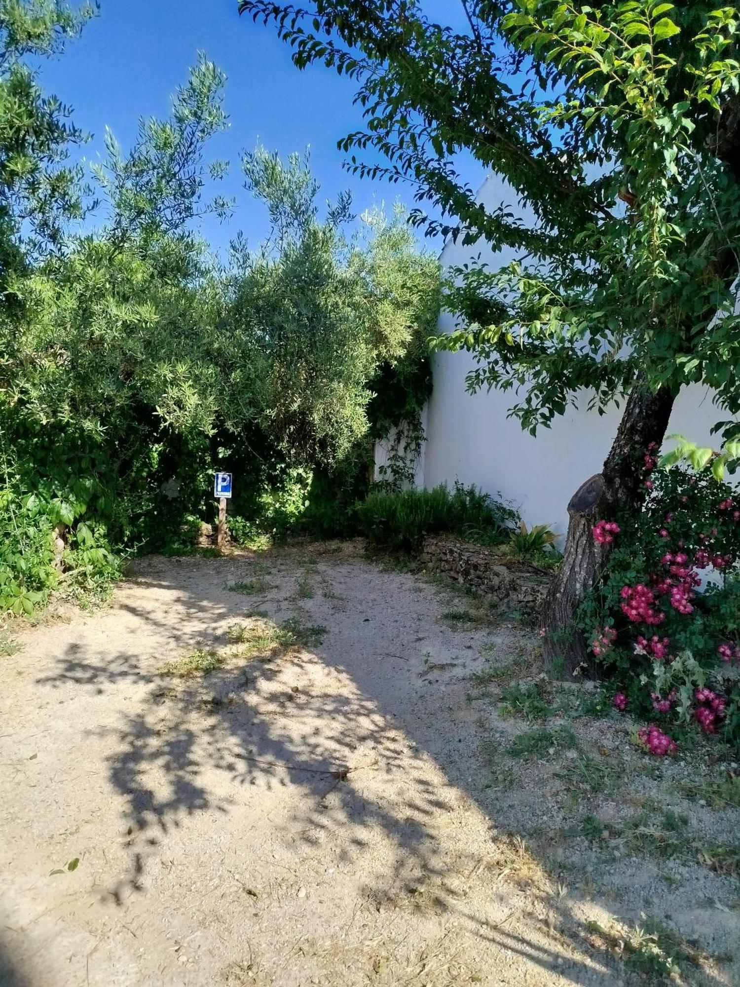 Casa Rural "La Casita" Para 2 Personas Ronda Extérieur photo